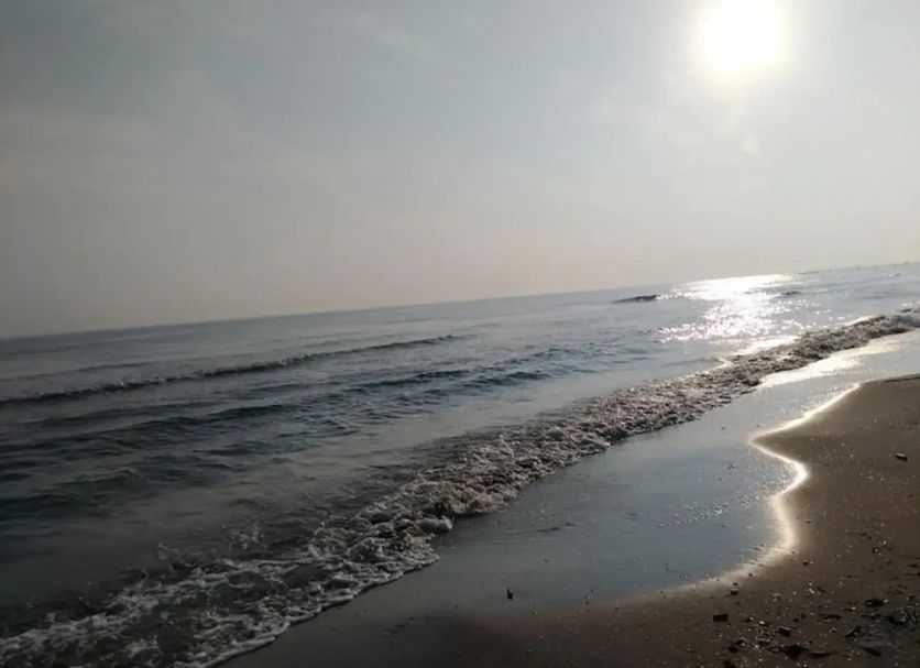 Beach Photo