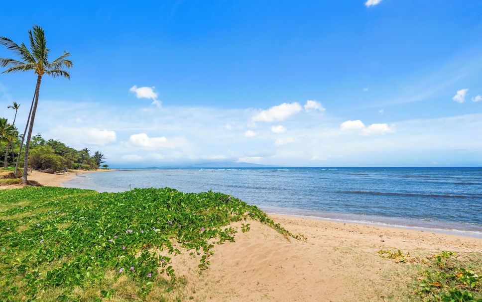 Beach Photo