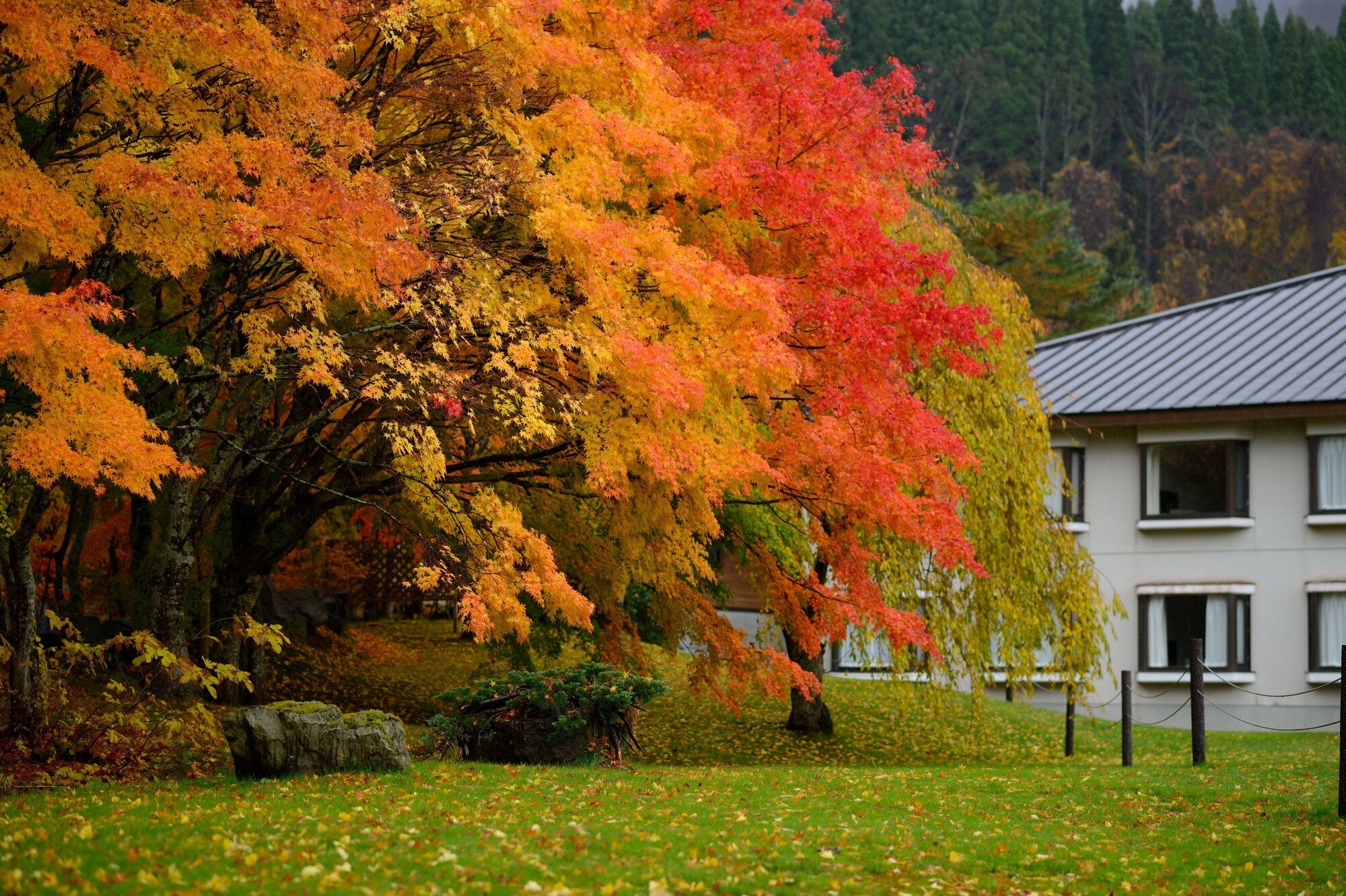 Outdoors view