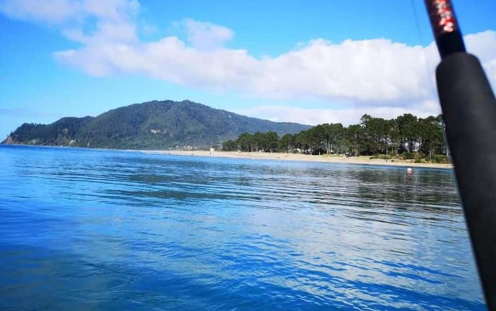 Other Photo