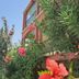 Outdoors view