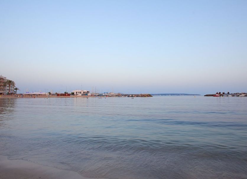Other Photo