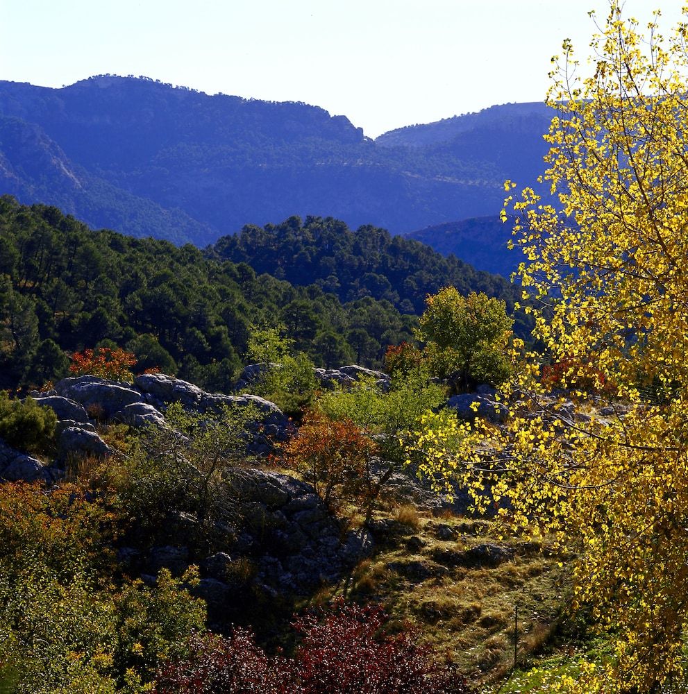Outdoors view