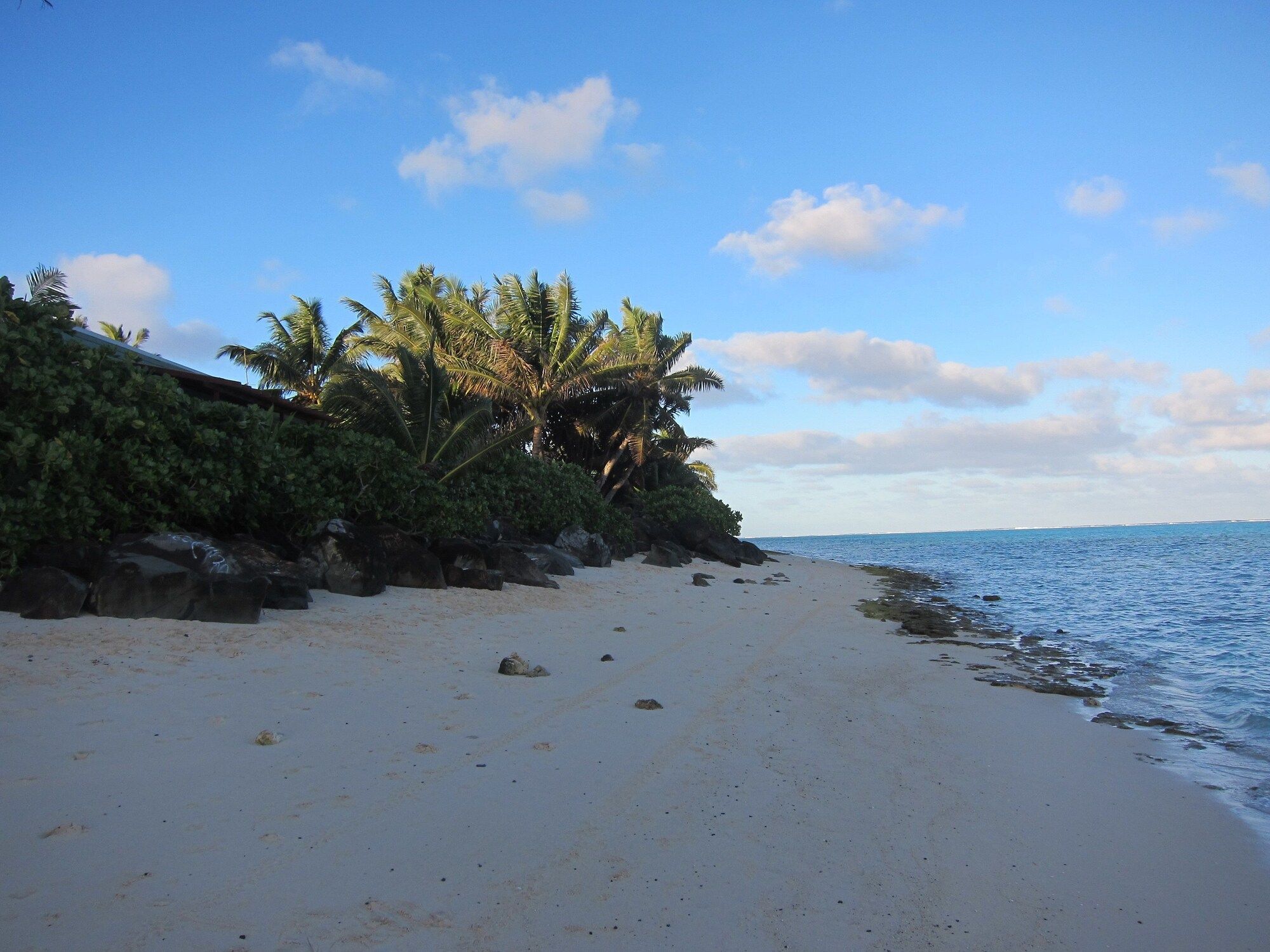 Beach Photo