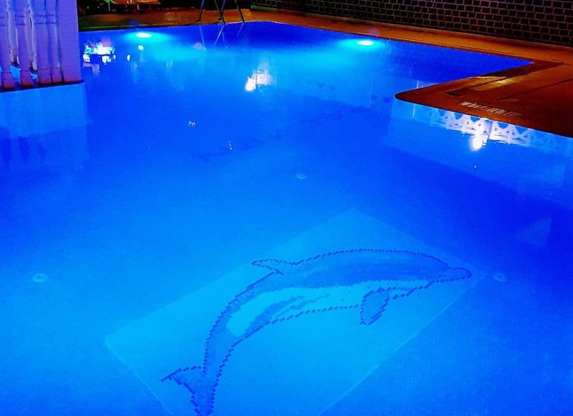 Pool Photo