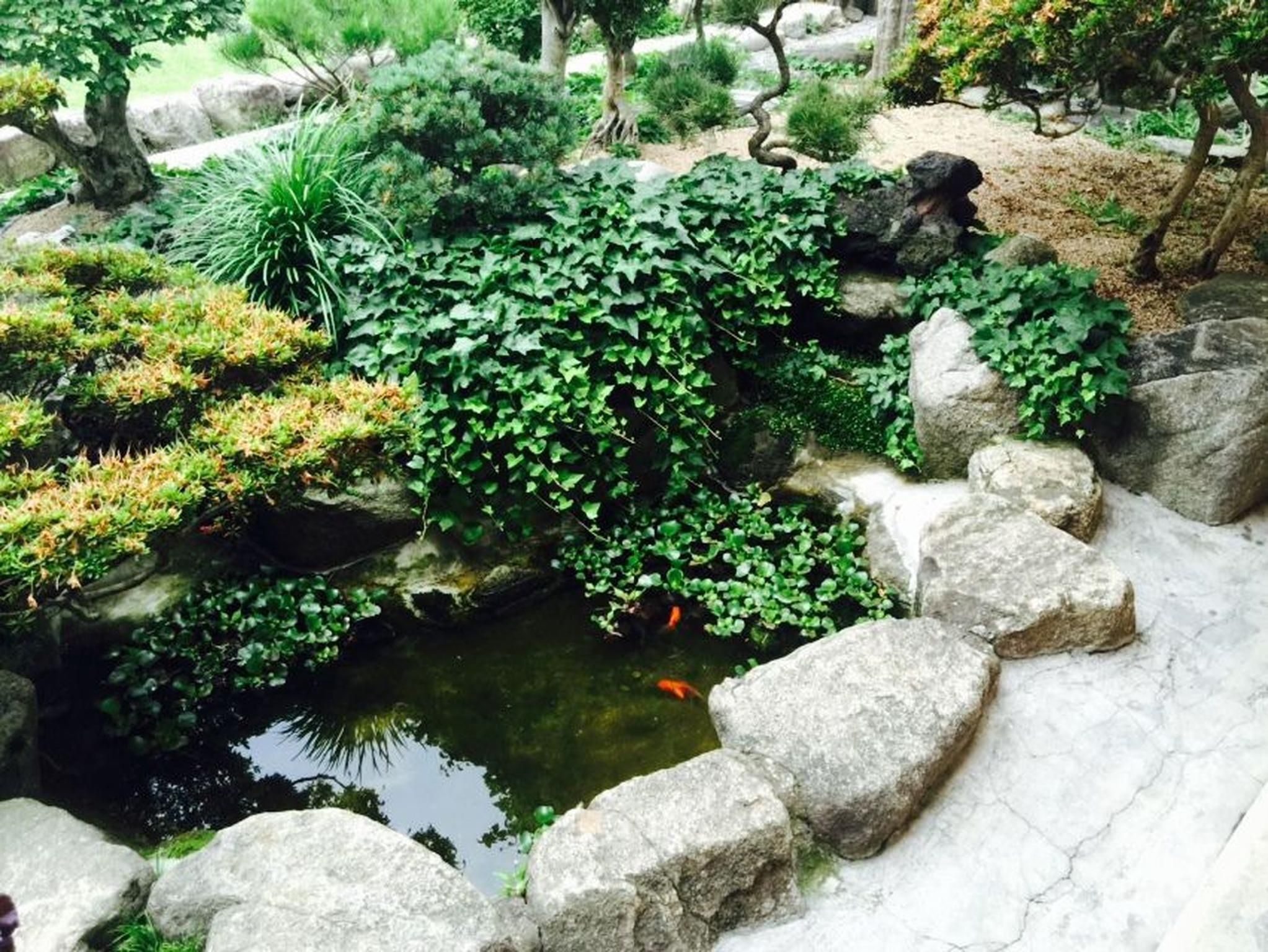 Outdoors view