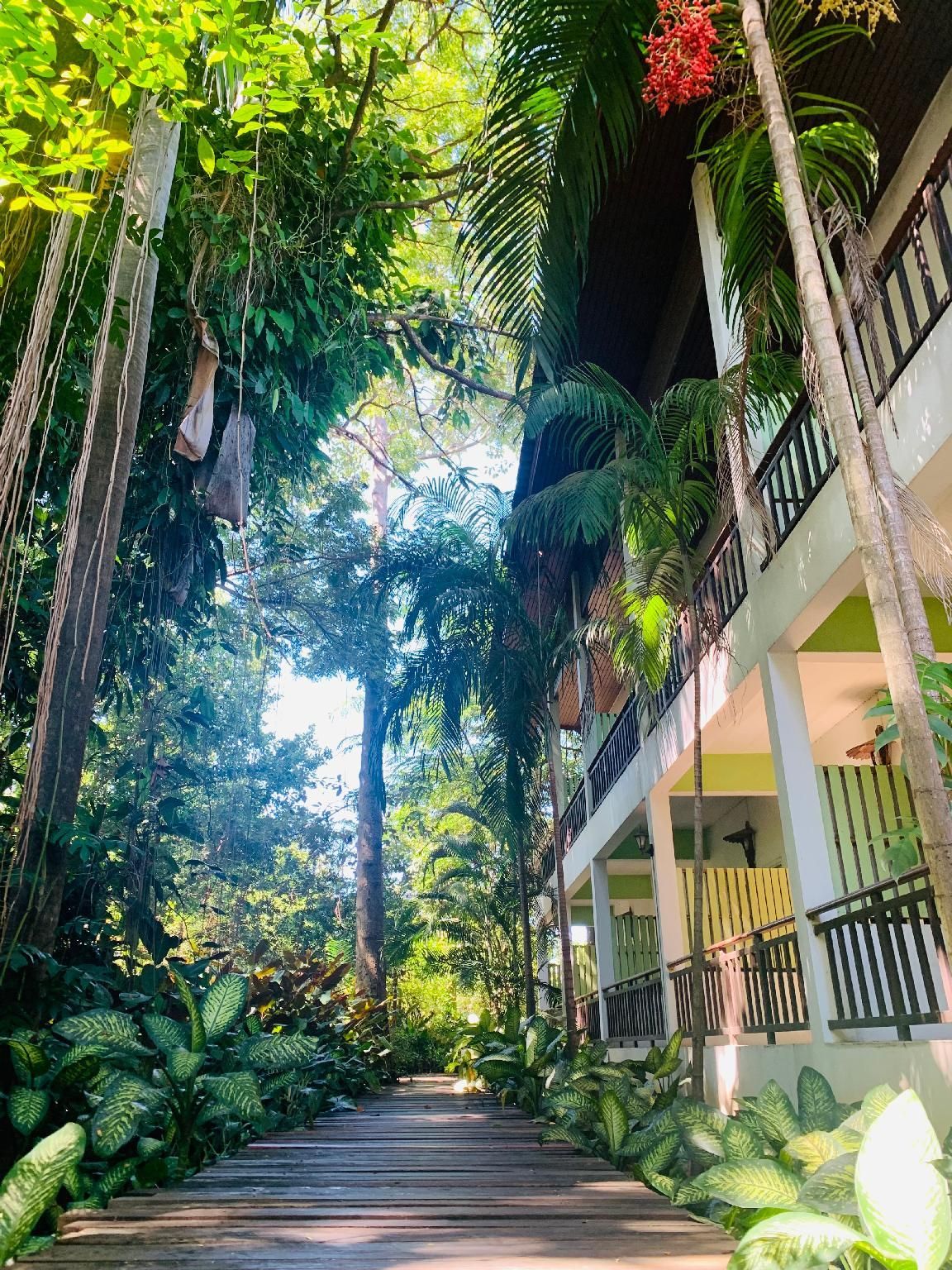 Outdoors view