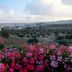 Outdoors view