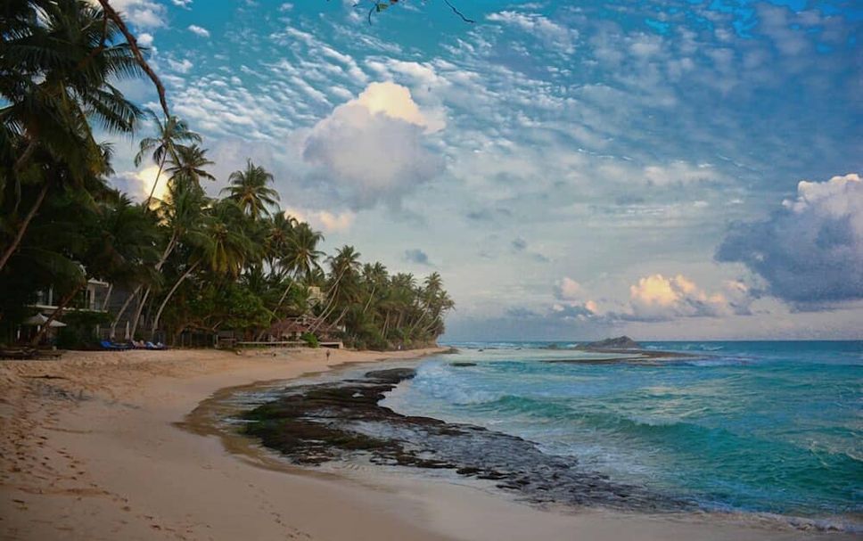 Beach Photo