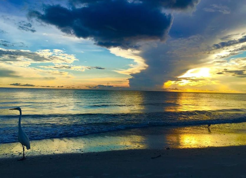 Beach Photo