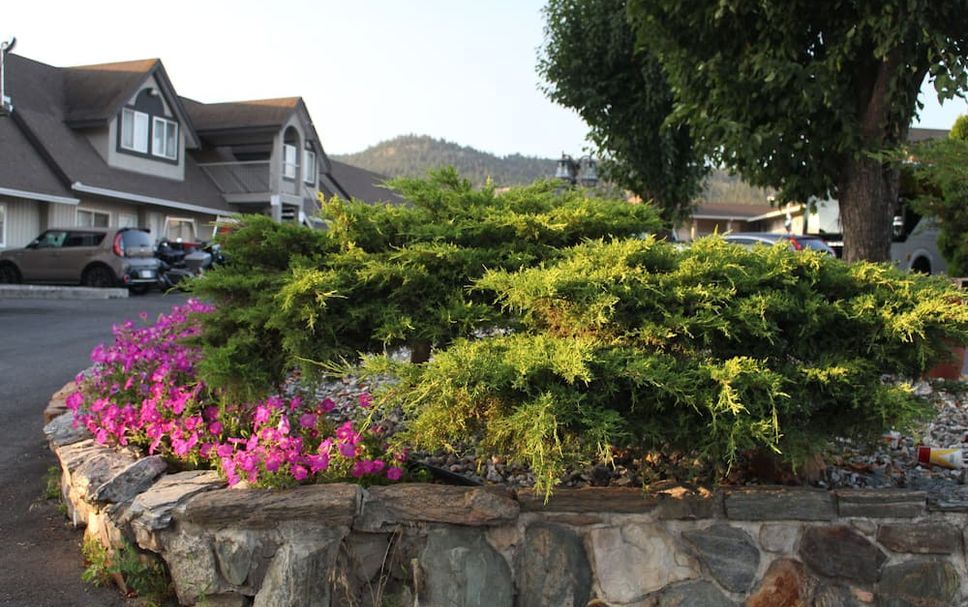 Outdoors view Photo