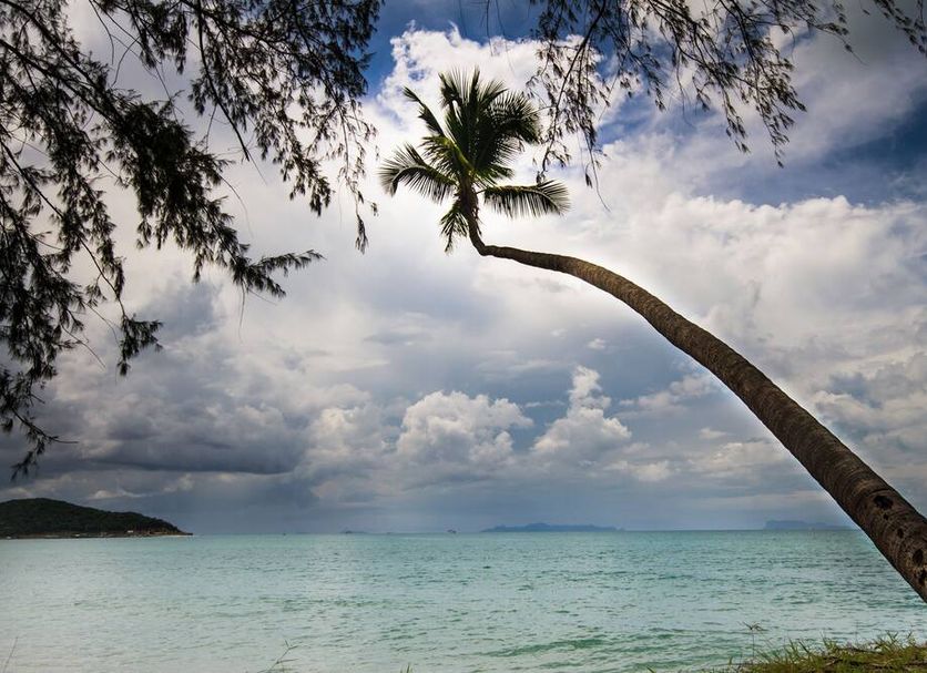 Beach Photo