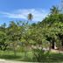 Outdoors view