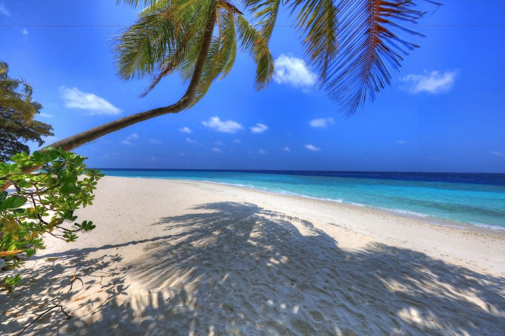 Beach Photo