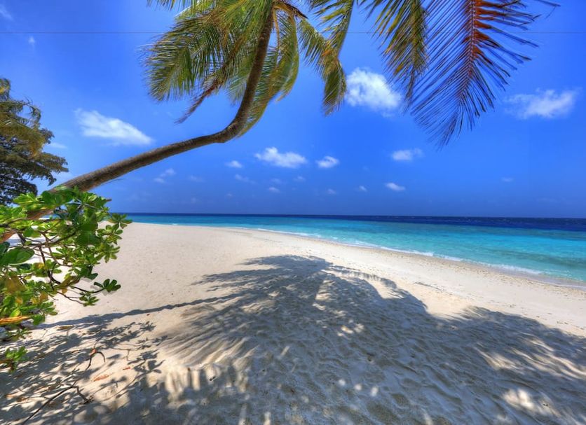 Beach Photo