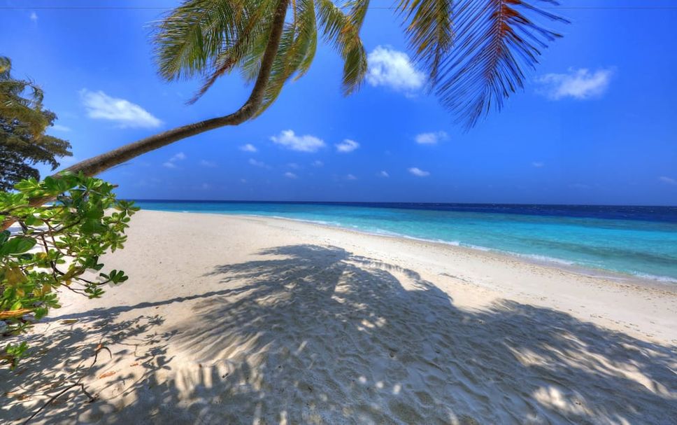 Beach Photo