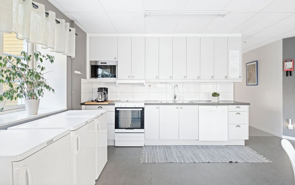 Kitchen Photo
