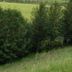Outdoors view