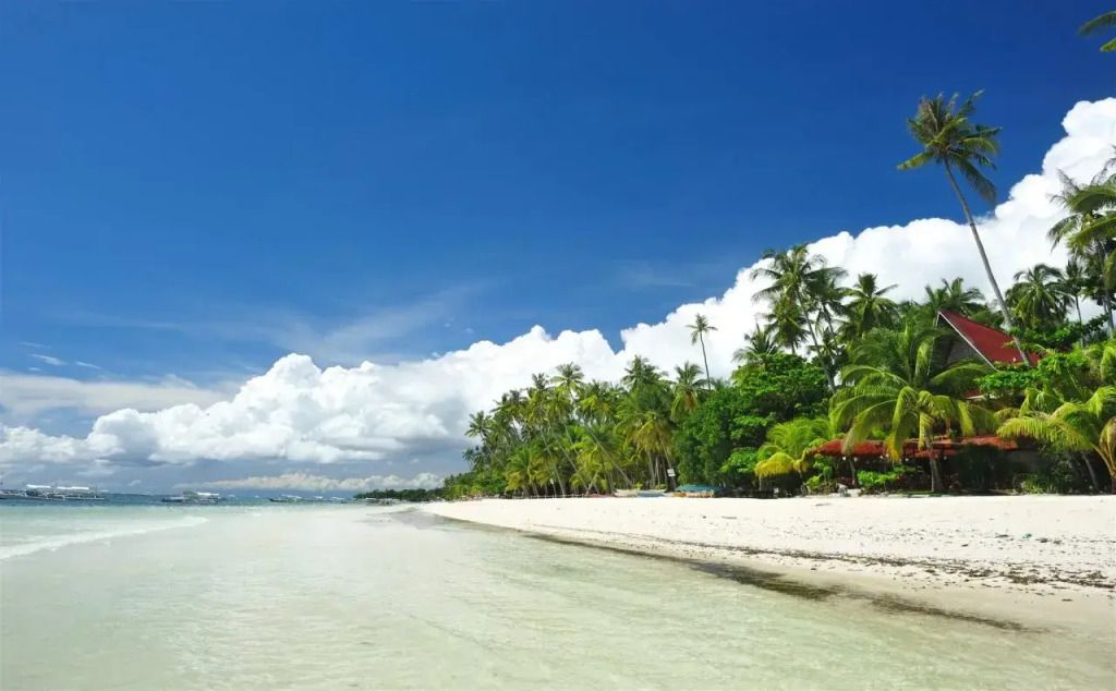 Beach Photo