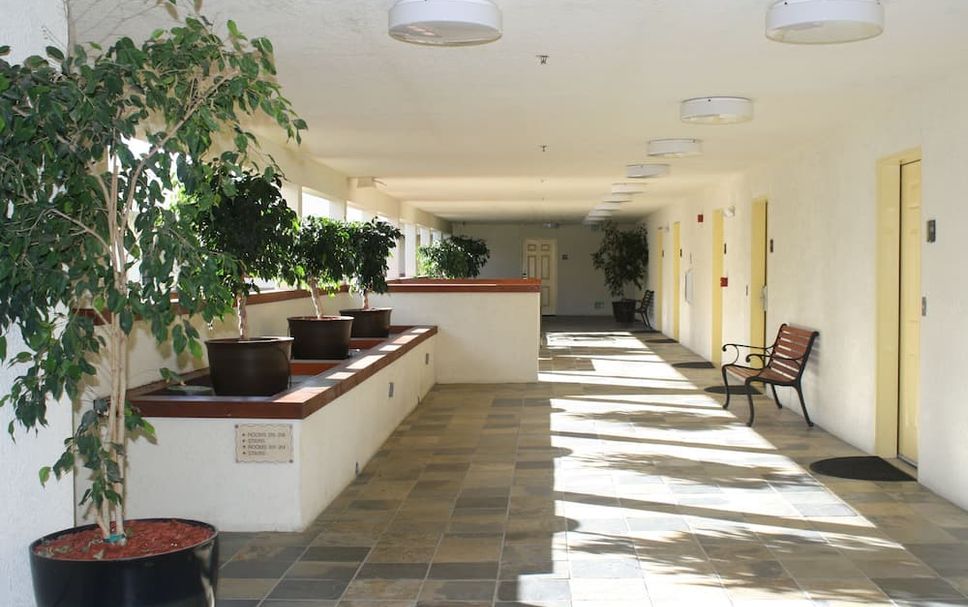 Decor Photo