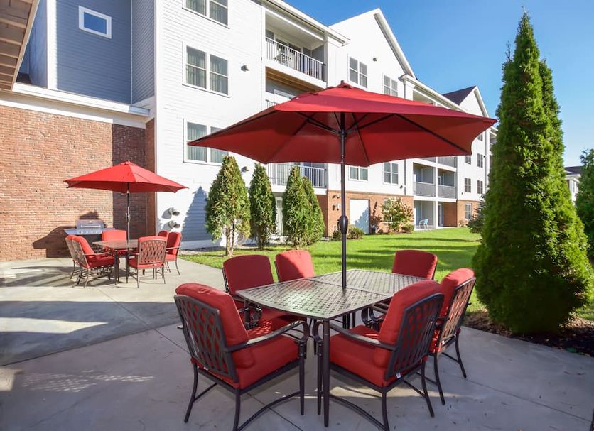 Patio Photo