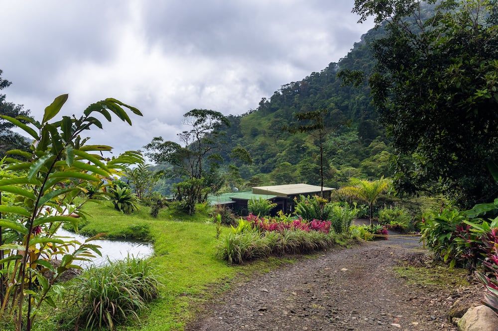 Outdoors view