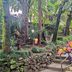 Outdoors view