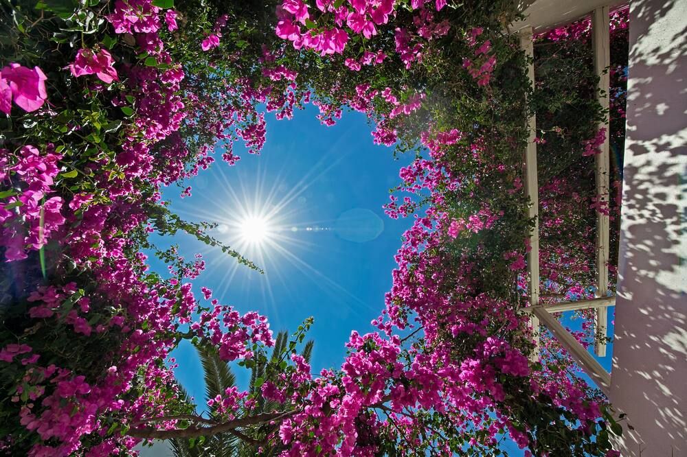 Outdoors view