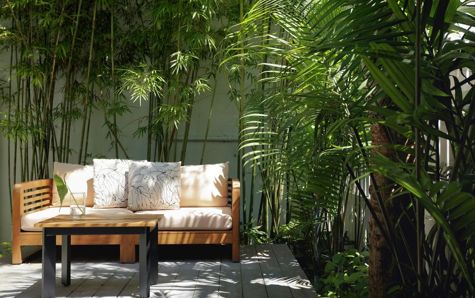 Patio Photo