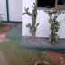 Outdoors view