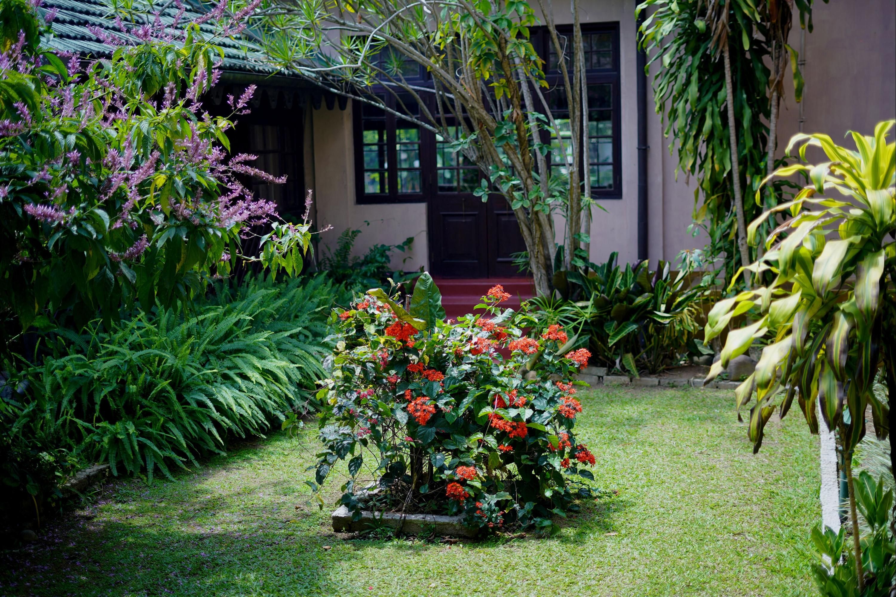 Outdoors view