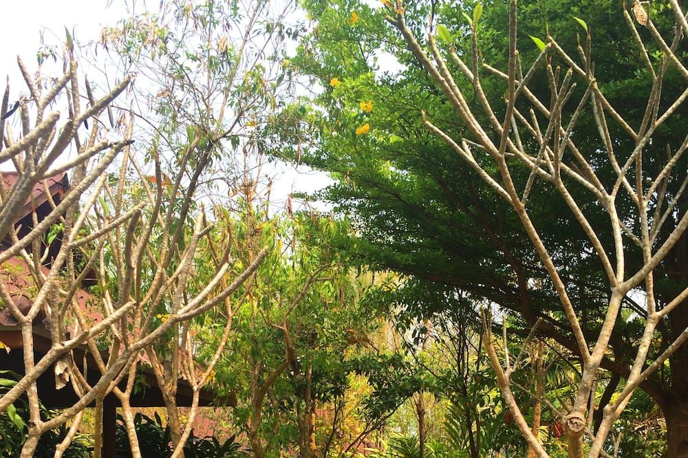 Outdoors view