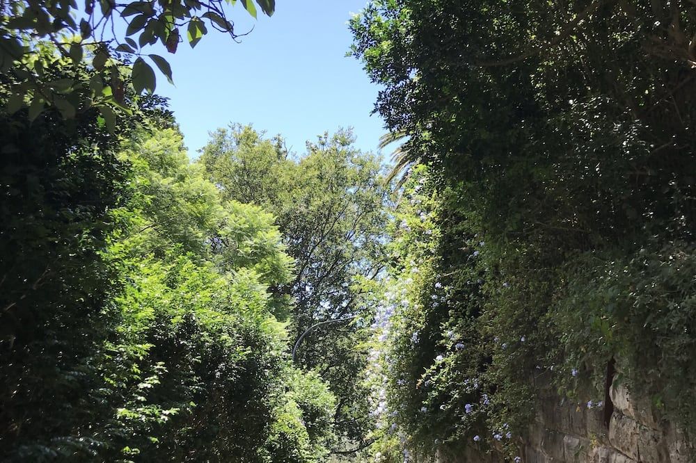 Outdoors view