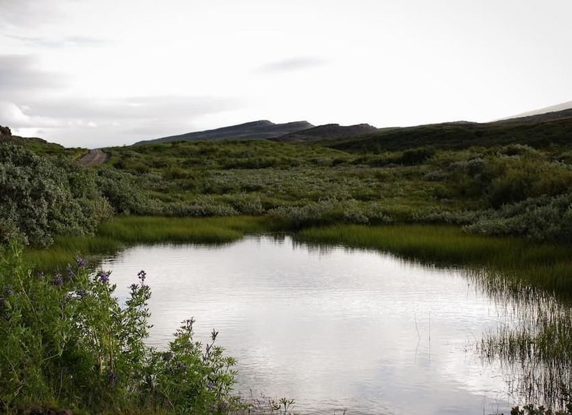 Outdoors view Photo