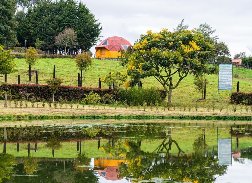 Outdoors view Photo