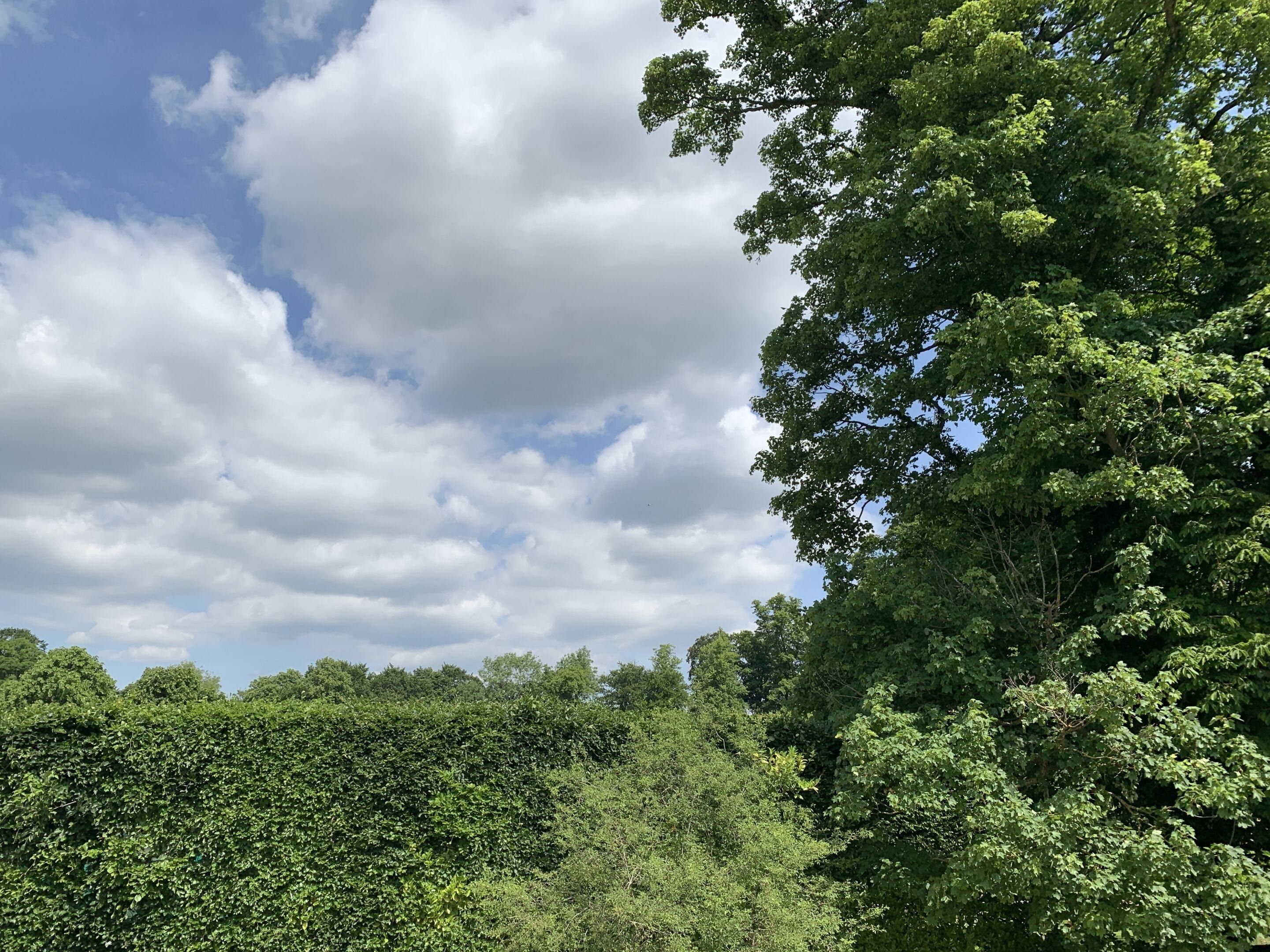 Outdoors view