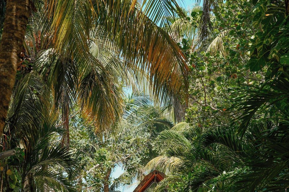 Outdoors view