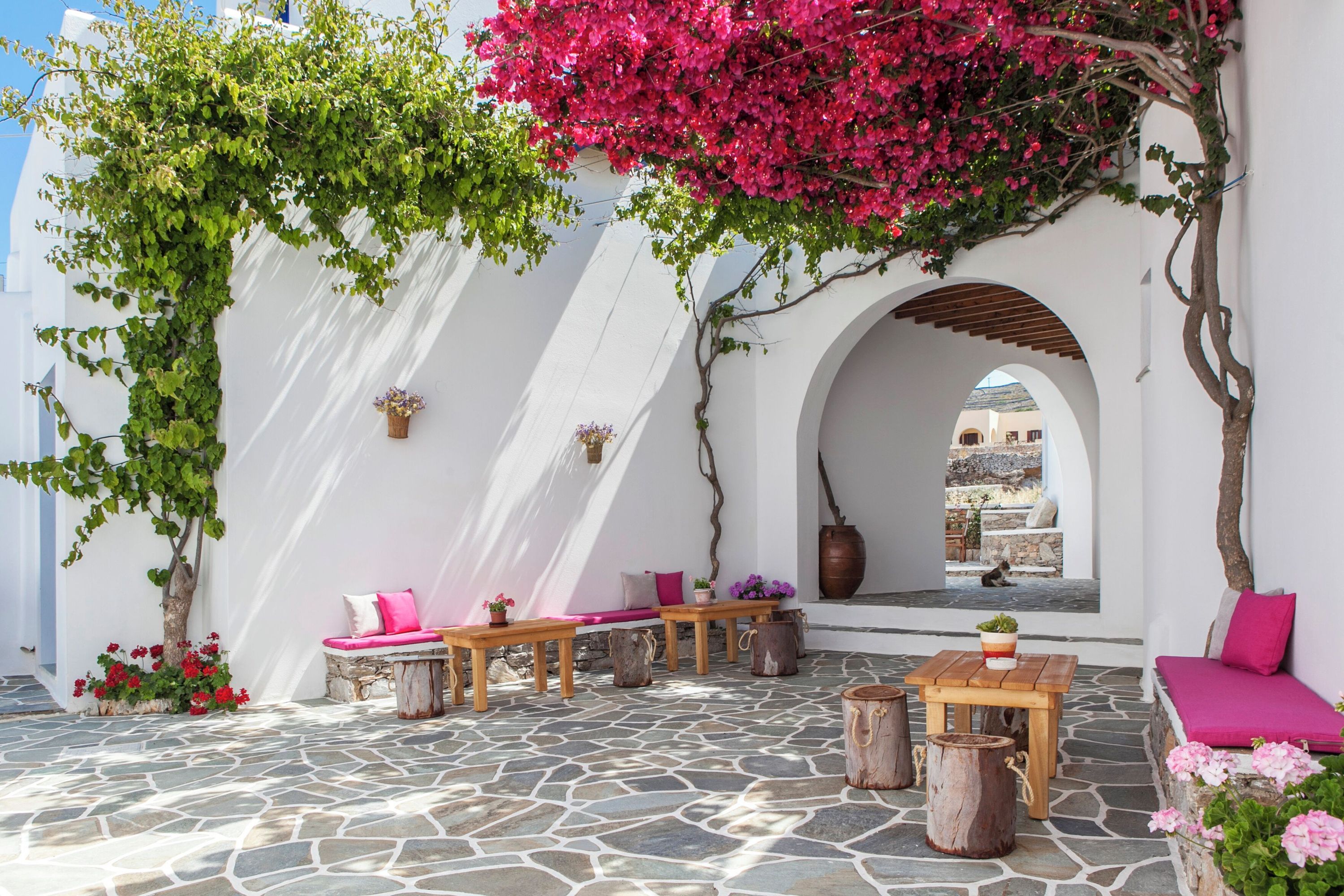 Patio Photo