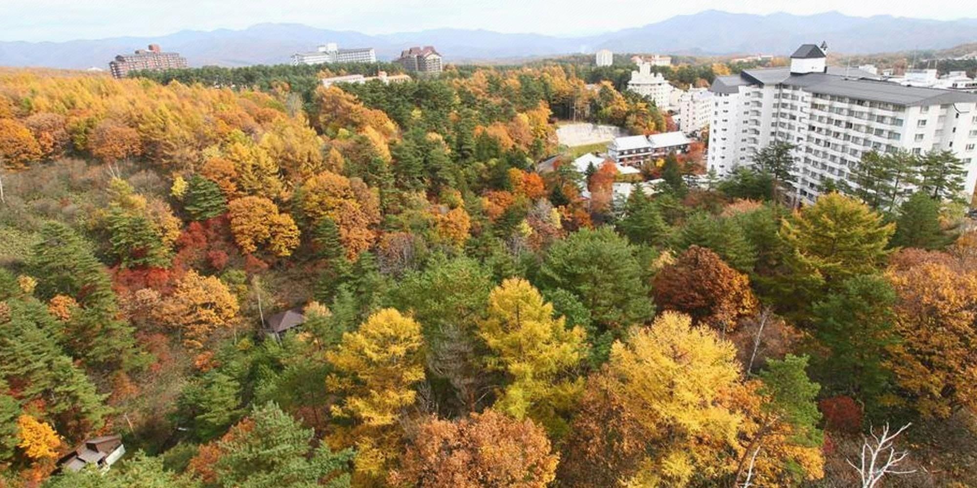 Outdoors view