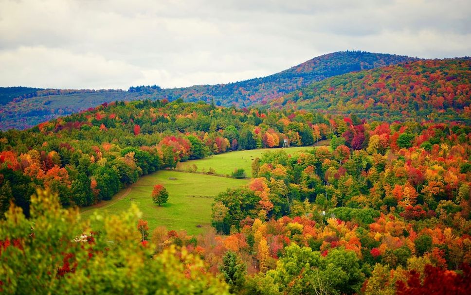 Outdoors view Photo