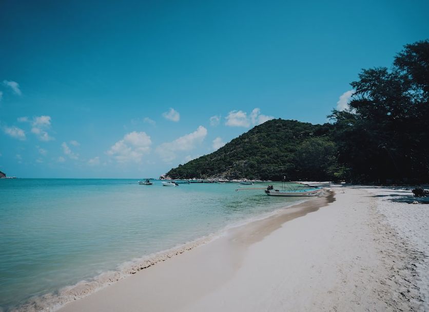 Beach Photo