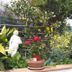 Outdoors view
