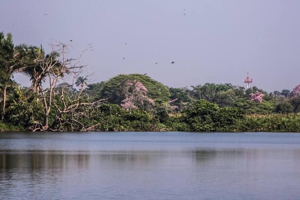 Outdoors view Photo