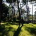 Outdoors view