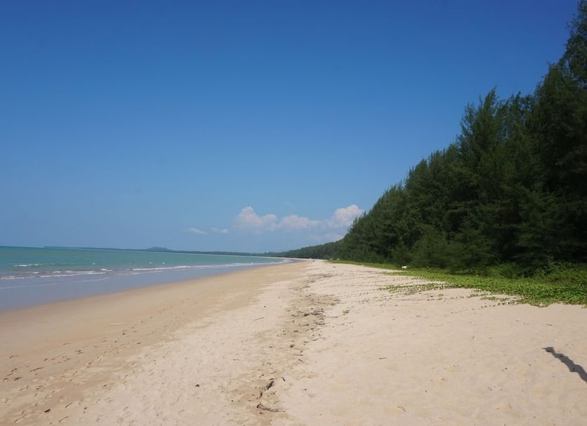 Beach Photo