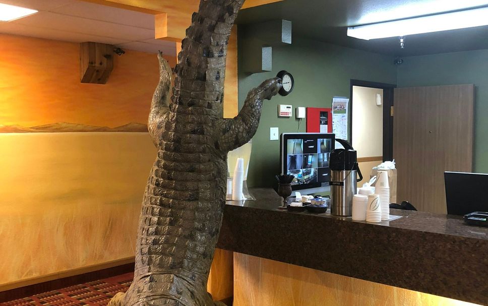 Lobby Photo