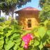 Outdoors view