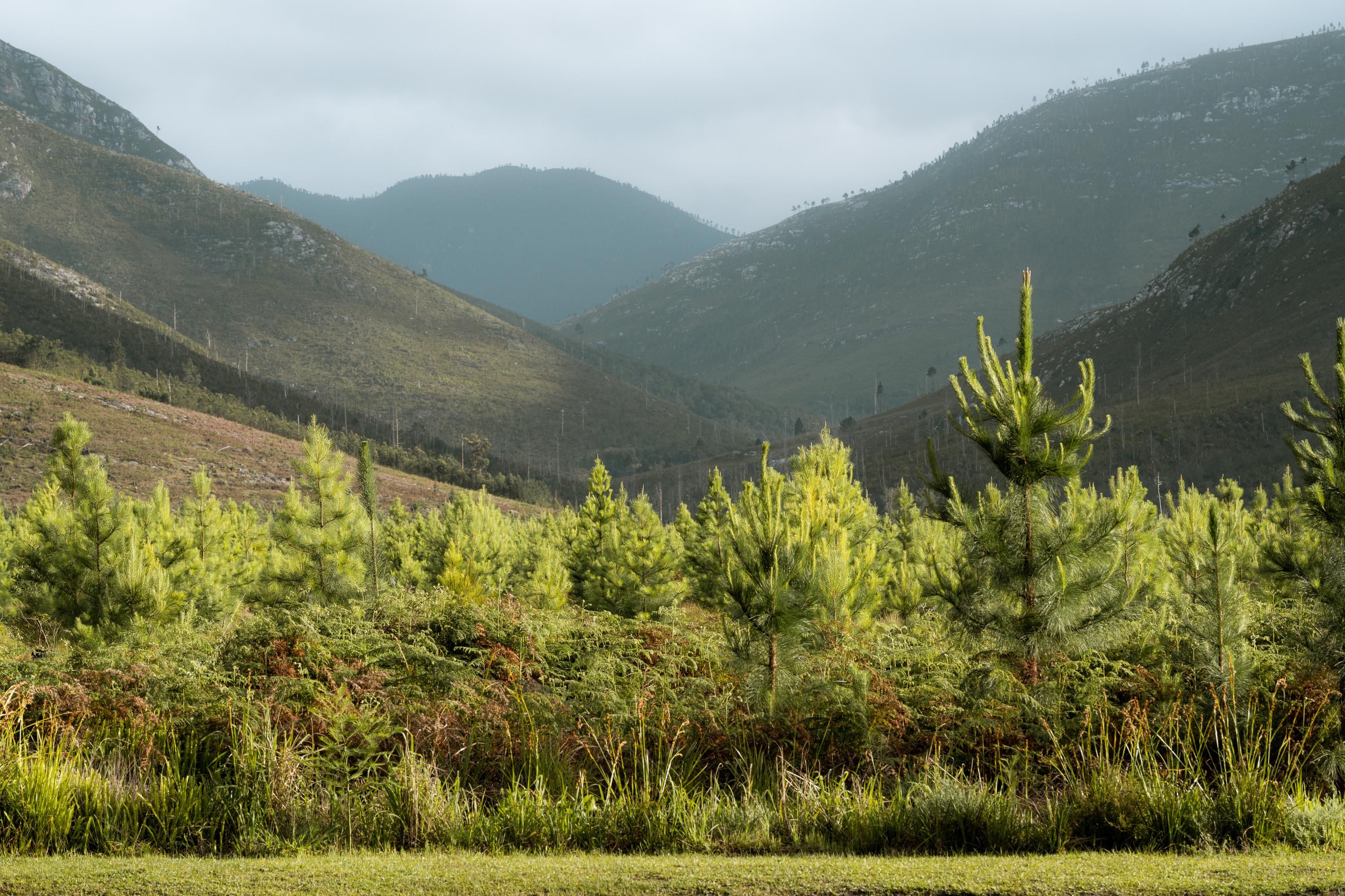 Outdoors view