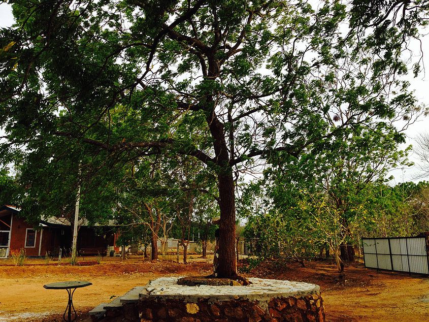 Outdoors view