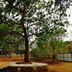 Outdoors view
